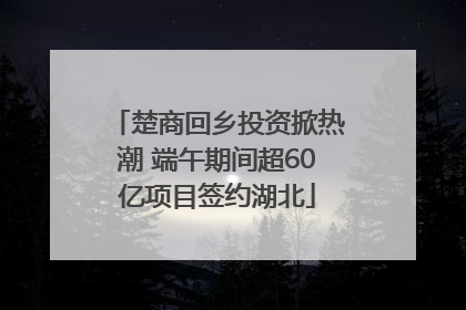 楚商回乡投资掀热潮 端午期间超60亿项目签约湖北