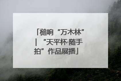 槌响“万木林”｜“天平杯·随手拍”作品展播