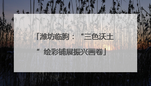 潍坊临朐：“三色沃土”绘彩铺展振兴画卷