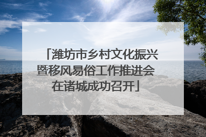 潍坊市乡村文化振兴暨移风易俗工作推进会在诸城成功召开