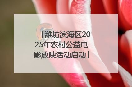 潍坊滨海区2025年农村公益电影放映活动启动