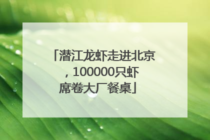 潜江龙虾走进北京，100000只虾席卷大厂餐桌