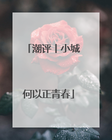 潮评丨小城何以正青春