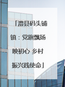 澧县码头铺镇：党旗飘扬映初心 乡村振兴践使命