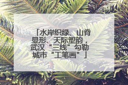 水岸织绿、山脊显形、天际塑韵，武汉“三线”勾勒城市“工笔画”