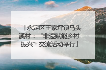 永定区王家坪镇马头溪村：“非遗赋能乡村振兴”交流活动举行