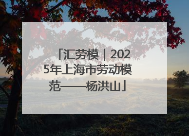 汇劳模｜2025年上海市劳动模范——杨洪山
