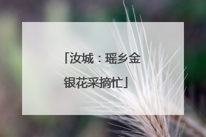 汝城：瑶乡金银花采摘忙