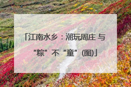 江南水乡：潮玩周庄 与“粽”不“童”(图)