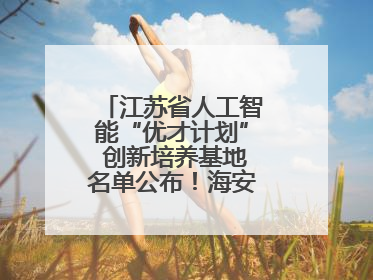 江苏省人工智能“优才计划” 创新培养基地名单公布！海安高级中学入选