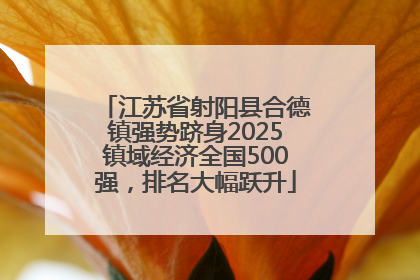 江苏省射阳县合德镇强势跻身2025镇域经济全国500强，排名大幅跃升