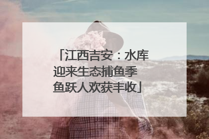 江西吉安：水库迎来生态捕鱼季 鱼跃人欢获丰收