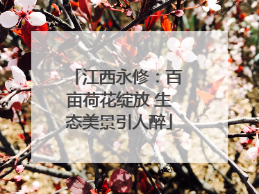 江西永修：百亩荷花绽放 生态美景引人醉