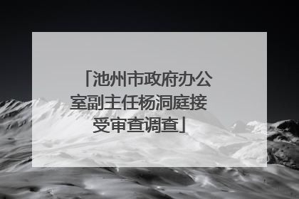 池州市政府办公室副主任杨洞庭接受审查调查