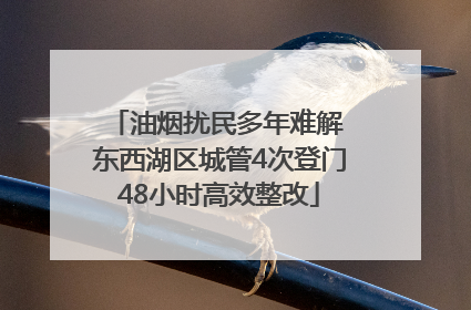 油烟扰民多年难解 东西湖区城管4次登门48小时高效整改