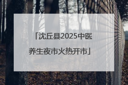 沈丘县2025中医养生夜市火热开市
