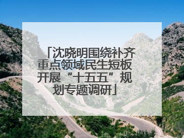 沈晓明围绕补齐重点领域民生短板开展“十五五”规划专题调研