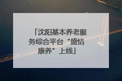 沈阳基本养老服务综合平台“盛情康养”上线