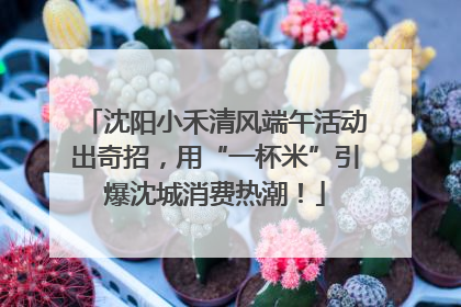 沈阳小禾清风端午活动出奇招，用“一杯米”引爆沈城消费热潮！