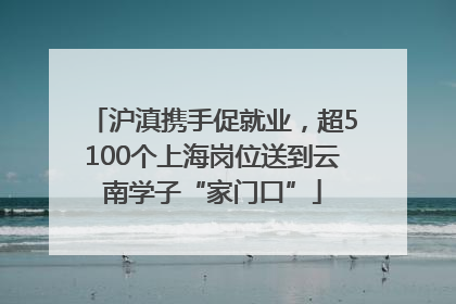 沪滇携手促就业，超5100个上海岗位送到云南学子“家门口”