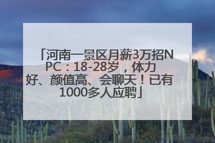 河南一景区月薪3万招NPC：18-28岁，体力好、颜值高、会聊天！已有1000多人应聘