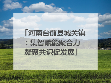 河南台前县城关镇：集智赋能聚合力 凝聚共识促发展
