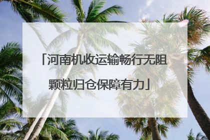 河南机收运输畅行无阻 颗粒归仓保障有力