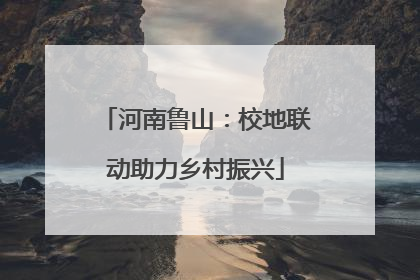 河南鲁山：校地联动助力乡村振兴