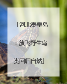 河北秦皇岛：放飞野生鸟类回归自然