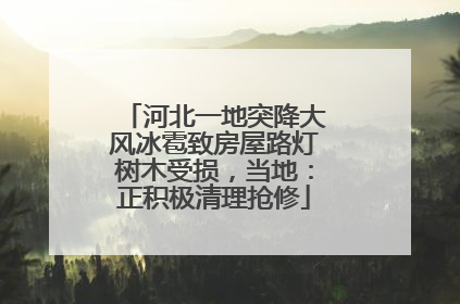 河北一地突降大风冰雹致房屋路灯树木受损，当地：正积极清理抢修