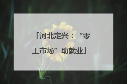 河北定兴：“零工市场”助就业