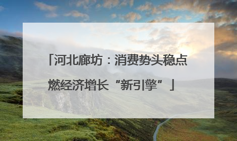 河北廊坊：消费势头稳点燃经济增长“新引擎”