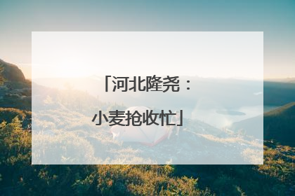 河北隆尧：小麦抢收忙