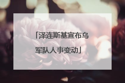 泽连斯基宣布乌军队人事变动