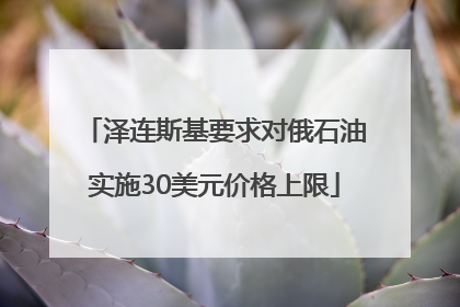 泽连斯基要求对俄石油实施30美元价格上限