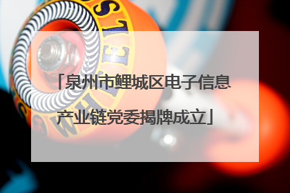 泉州市鲤城区电子信息产业链党委揭牌成立