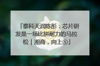 泰科天润陈彤：芯片研发是一场比拼耐力的马拉松｜湘商，向上⑤