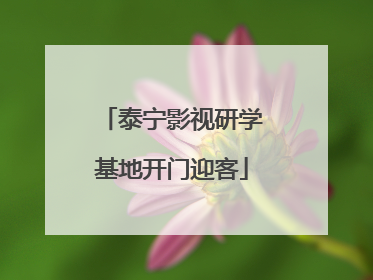 泰宁影视研学基地开门迎客