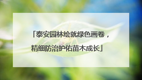 泰安园林绘就绿色画卷，精细防治护佑苗木成长