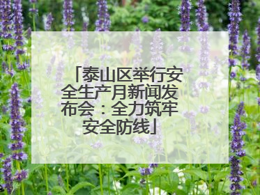 泰山区举行安全生产月新闻发布会：全力筑牢安全防线