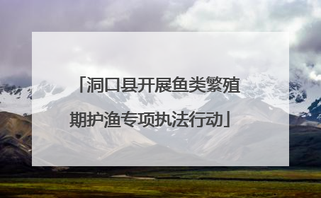 洞口县开展鱼类繁殖期护渔专项执法行动