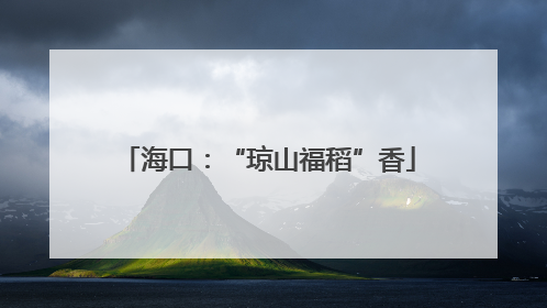 海口：“琼山福稻”香