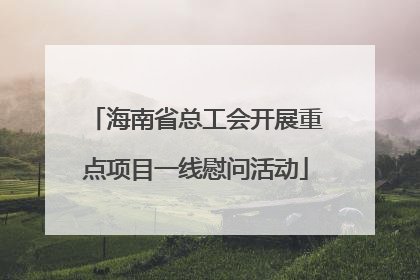 海南省总工会开展重点项目一线慰问活动