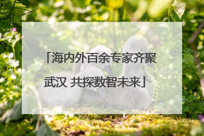 海内外百余专家齐聚武汉 共探数智未来