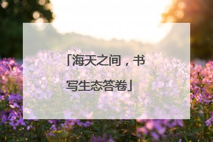 海天之间，书写生态答卷