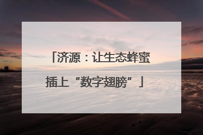 济源：让生态蜂蜜插上“数字翅膀”