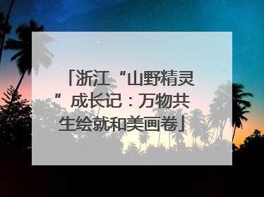 浙江“山野精灵”成长记：万物共生绘就和美画卷