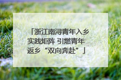 浙江南浔青年入乡实践矩阵 引燃青年返乡“双向奔赴”