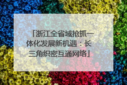 浙江全省域抢抓一体化发展新机遇：长三角织密互通网络