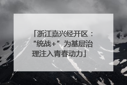 浙江嘉兴经开区：“统战+”为基层治理注入青春动力